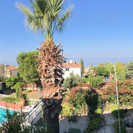 Dimitra Cyprus * Tala